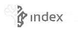 Index AI